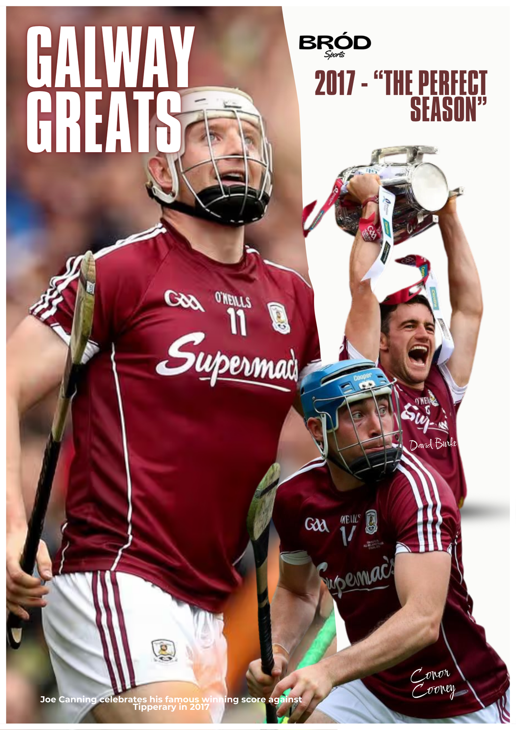 Customisable Hurling Christmas Box